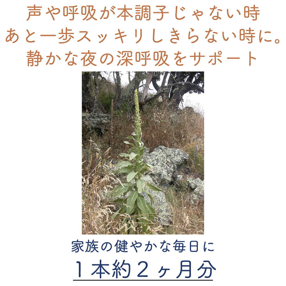 ジェモセラピー ビロードモウズイカ 咳込みやすい スッキリしきらない時に 無農薬 無添加 植物療法士監修 天然サプリ マレイン オーガニック 天然 サプリメント チンキ 流行る季節 呼吸 声 呼吸 ハーブ エルビオリス レメディ フィト 50ml evhabio-10000433 ジェモセラピー 自然療法 Evha BIO サンプル画像3