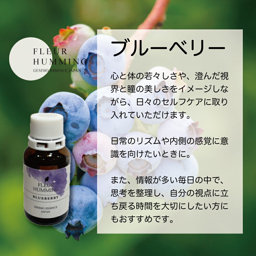ジェモセラピー 国産 ブルーベリー 若々しい印象に 明るい視界 無農薬 無添加 植物療法士監修 サプリ アイケア スマホ疲れ 紫外線 天然 ハーブ スッキリ 透明感 ビジョン 思考疲れ オーガニック エルビオリス フラワーエッセンス 和ジェモ 30ml evhabio-10000449 ジェモセラピー 自然療法 Evha BIO サンプル画像3