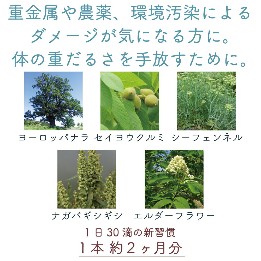 症状別に全85種類の 飲む植物幹細胞エキス 医療先進国ヨーロッパでは処方箋にも使われています フランス発の漢方薬 新感覚サプリメント ジェモセラピー ドレノリス エルビオリス サプリメント 天然 デトックス 重金属 ダイエット ドレナージュ 農薬 肝臓 腎臓 レメディー