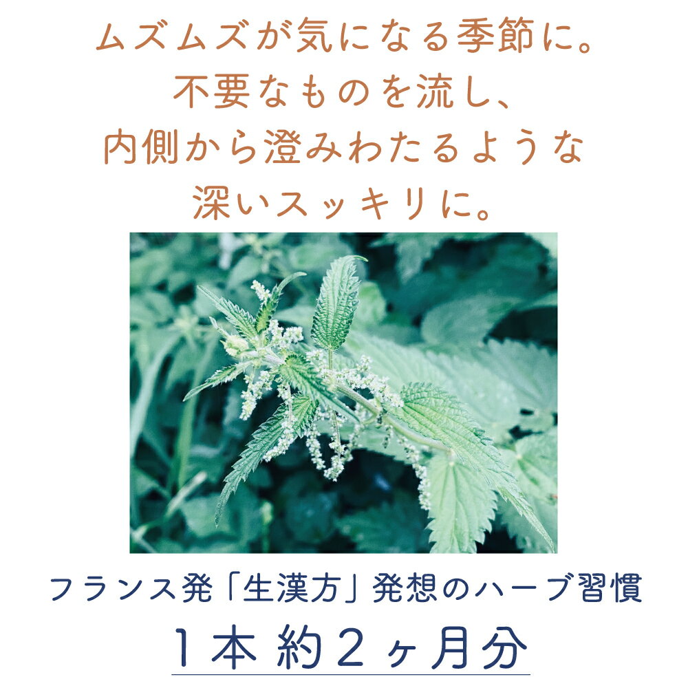 フィトエキス ネトル イラクサ 無農薬 無添加 植物療法士監修 自然食品 天然サプリ...