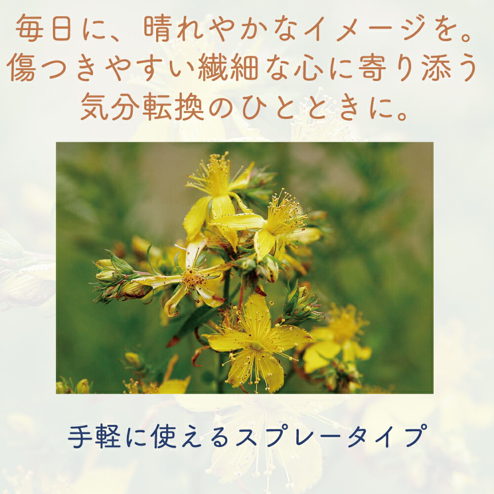 ����̵�� �����⥨���� ���ȥ��꥽�� ����ȥ���󥺥�� �� ̵���� �ϡ��� ���ץ졼 ŷ�� ���ץ���� ��ʪ��ˡ�δƽ� ��ʬž�� �쥹���塼 ����ե��� �������� �ե����å��� ���󥷥㥤��ϡ��� �ϥåԡ��ϡ��� �ڥå�OK ������OK ���Ǯ ��Ŧ�� 10ml