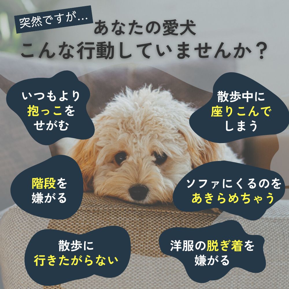 SMD パインフォース 成犬 シニア犬 犬用健康補助食品 1袋(22.5g) 2袋セット 3袋セット 4袋セット evicolle-10000001 エビコレショップ サンプル画像3