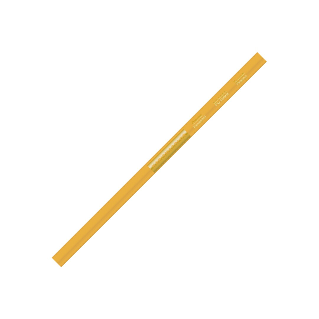 【KARISMA COLOR/カリスマカラー】色鉛筆 カリスマカラー油性色鉛筆単色　PC1003 スパニッシュオレンジ 1本から販売 ゆうパケット(メール便)対応 新学期 お祝い