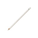 【FABERCASTELL/ファーバーカステル】色鉛筆 アルブレヒト・デューラー水彩 単色 101 ホワイト 1本から販売 ゆうパック(メール便)対応 【新学期】【お祝い】