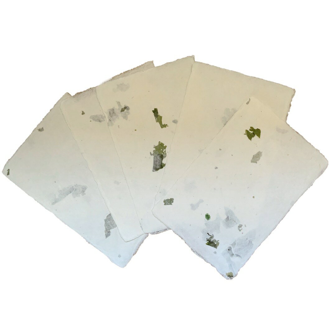 【能登仁行和紙】 ポストカードセット/あおさ入紙和紙 天然素材 グリーティングカード おしゃれ 女子文具 大人 インテリア メッセージ おめでとう お祝い かわ...