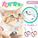猫用爪切り
