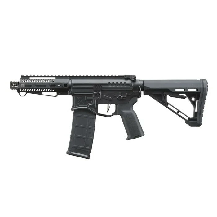 【お買い物マラソン 5/9 20時スタート！】【楽天1位!13冠!】【3ヶ月保証】 ザイオンアームズ ZION ARMS R15 Mod 1 Short Barrel 電動ガン 本体のみ 18歳以上 海外製 エアガン 電子トリガーT型 ランサータクティカル LANCER TACTICAL ショートバレル エアソフト 初心者 2