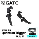 【限定マグバンド付き】 GATE QT-1 ASTER V2専用 Quantum クアンタムトリガー 1A1 1C1 マットブラック/ブラック