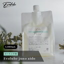 Evolube juno aido 弱酸性 還元サポート液 1000ml 業務用 美容院 美容院限定 サロン専売品