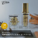 Evolube Booster & Cream 2個セット 発酵熟成Pブースター 発酵熟成Pクリーム 導入美容液 30mL フェイスクリーム 30g 発酵熟成 プラセンタ エイジングケア 保湿 乾燥対策 母の日(4)