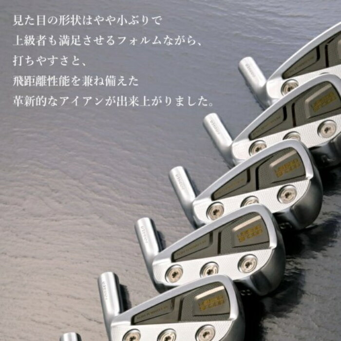 ドゥーカス アイアン リローデッド ネオ | トゥルーテンパー ダイナミックゴールド...