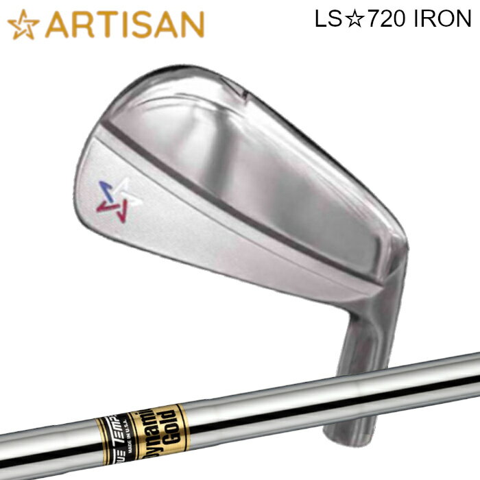 アーティザン LS 720 アイアン | トゥルーテンパー ダイナミックゴールド #5-P 6本セット カスタムクラブ