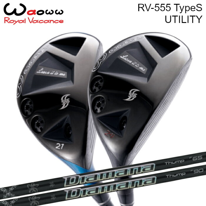索 桼ƥƥ RV-555 S | ɩߥ ǥޥ  ϥ֥å ᥤ ९