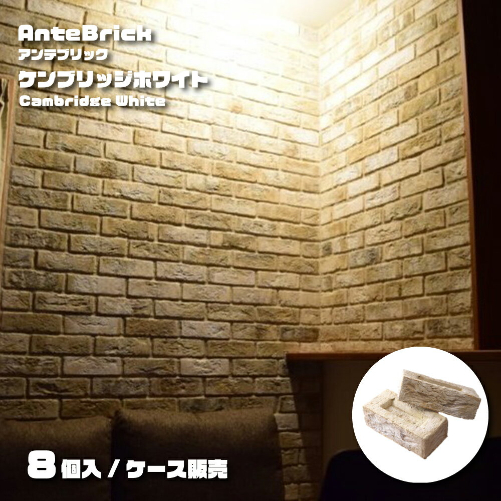 【ヴィンテージ古煉瓦 アンテブリック ケンブリッジホワイト 118(8個セット)】 白 エクステリア お庭 ガーデニング アプローチ おしゃれ レトロ【メーカー直送品・代引不可】