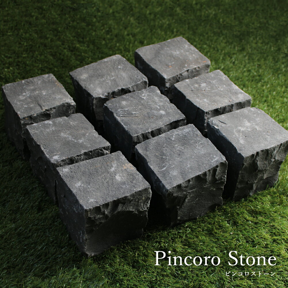 ピンコロ石 安山岩 9個セット 約90×9