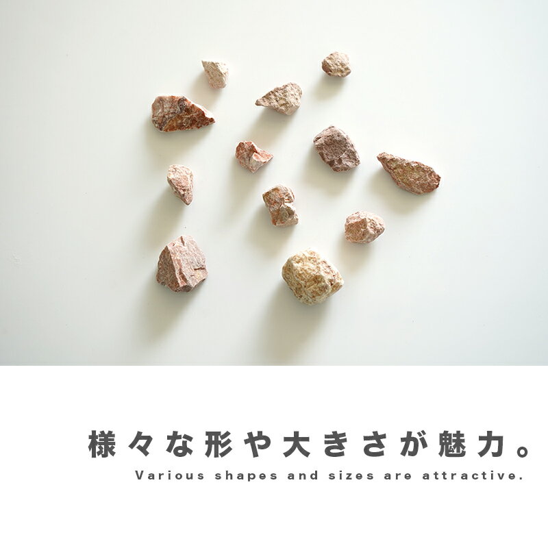 ���� �ԥ� ��� 20kg 15��25mm ����� ���� ŷ���� ������ ������ ���� �ߤ�������ñ DIY �����к� ���� ���Ⱥ��� ���� ���� ���� ���ץ����� �����ǥ˥� ������� ���� �������ƥꥢ�ڥ���٥륹�ȡ��� ��� �ԥ� 20kg��