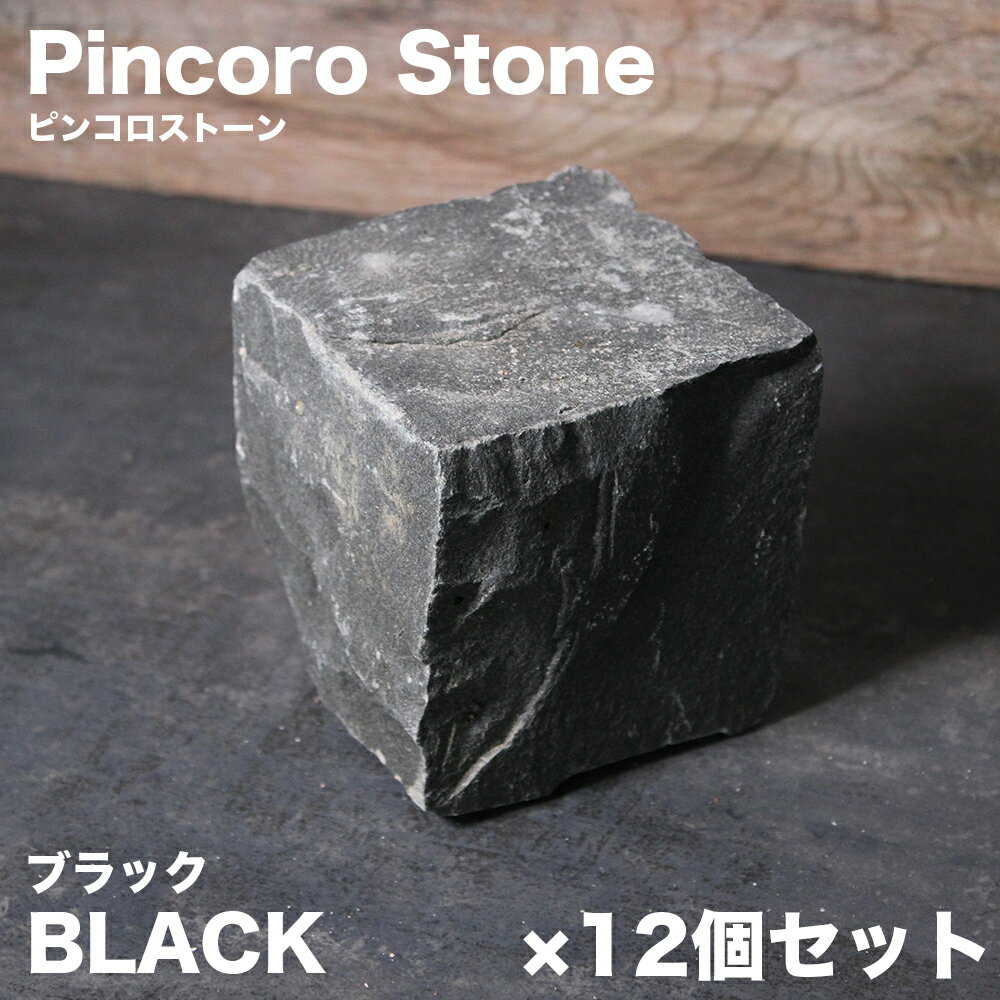 ピンコロ石 安山岩 12個セット 約90×