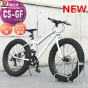 【無料★特典付】 サイクルスタンド ダイケン 独立式スタンド CS-GF型 ファットバイク専用 スチール 収納可能自転車 30kg以下 タイヤ径20〜26インチ...
