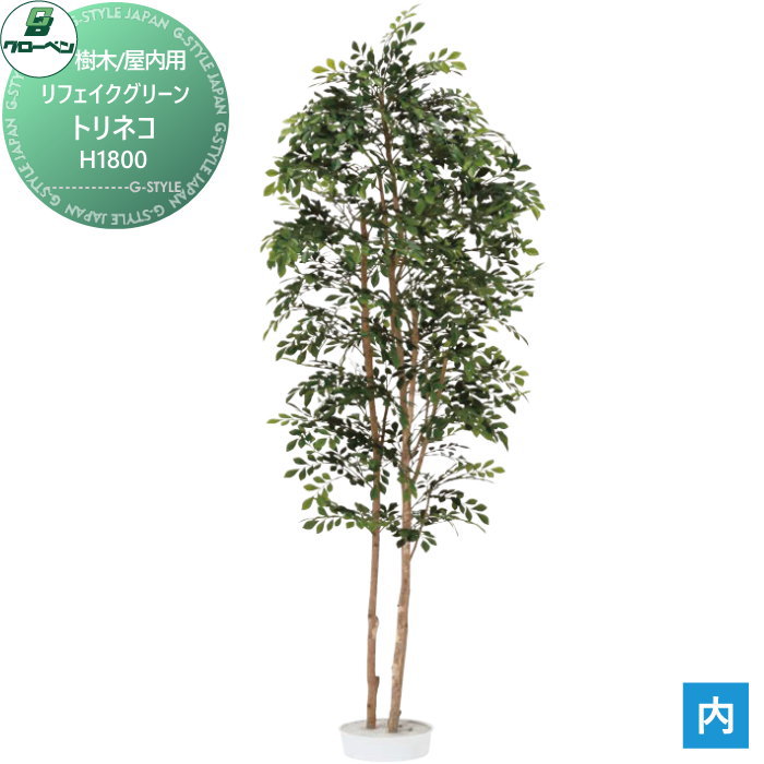 【無料★特典対象】 人工植物 グローベン リフェイクグリーン トリネコ　H1800 樹木・屋内用 A70ND388 完成品