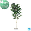 【無料★特典付】 人工植物 グローベン リフェイクグリーン フィカスベンジャミン(1本立) H1500 樹木・屋内用 A70NS805 完成品