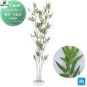 【無料★特典付】 人工植物 グローベン リフェイクグリーン 黒竹(3本立) H1800 竹/竹リーフ・屋内用 A70NT018 完成品(4)