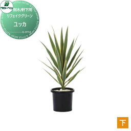 人工植物 グローベン リフェイクグリーン ユッカ 樹木・軒下用 A70TN529 完成品