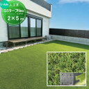 【無料★特典付】 人工芝 GSターフNeo W型 巾2m×長さ5m(芝の長さ25mm) ゴルフ 練習 人工芝生 緑化 園芸 庭手入れ 防草対策