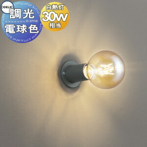 󥰥饤 OL251716LC1 㥳륰졼 LEDŵ奯ꥢܡ ĴǮ40W    饤 ǥå ODELIC եȥפǤʥ           