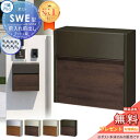 【無料★特典対象】 壁付けポスト SWE-1型 SWE型 ポスト 木調タイプ 5カラー プッシュ錠 郵便ポスト 郵便受け 三協アルミ 三協立山 壁掛け 壁付けポスト 鍵付き シンプル スタイリッシュ 屋外 一戸建て おしゃれ デザイン