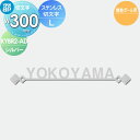 表札 YKK YKKap 切文字タイプ ステンレス切文字表札 Lサイズ W300mm 表札シミュレーション対応 機能ポール用 KYBR2-D-(L) 戸建て オ...