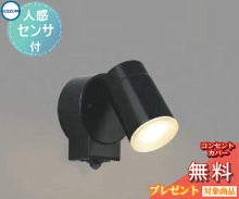 スポットライト AU50448 センサーあり 黒色 電球色  エクステリア 屋外 照明 ライト コイズミ  人感センサー タイマー付ON-OFFタイプ 60W相当 散光 LED一体型           