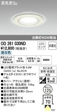 無料プレゼント対象商品!オーデリック ODELIC 【バスルームライトOD261030ND 昼白色OD261030LD 電球色透明樹脂でカバーされた ランプ交換可能型 白熱灯60W相当】