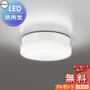 エクステリア 屋外 照明 ライト オーデリックODELIC ポーチライト OW269039ND 昼白色 FCL30W相当 白色 LED 壁面・天井面・傾斜面取付専用 玄関灯 防雨・防湿型