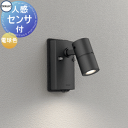 エクステリア 屋外 照明 ライト オーデリックODELIC スポットライト OG254918R1 ブラック 電球色 人感センサON-OFF型 ダイクロハロゲン型...