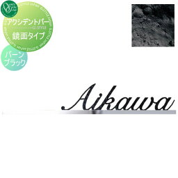 表札 アイアン オンリーワンクラブ アクシデントバー 鏡面タイプ バーンブラック NA1-S102MIBB 戸建て オーダー オンリーワン エクステリア