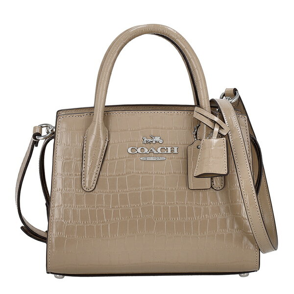 コーチ ハンドバッグ ショルダーバッグ 2WAY レディース アンドレア キャリーオール COACH CR105 SV/ST シルバー/ストーン