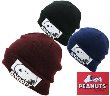 【全品ポイント10倍】【送料無料 ネコポス発送限定品】PEANUTS スヌーピーフェイスワッチ（ニット帽）【SNOOPY】【ディズニー】【楽ギフ_包装】