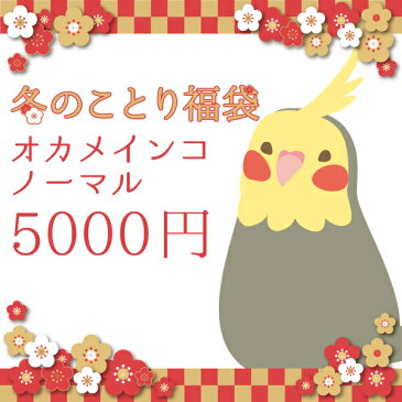 予約品 2018冬 数量限定 ことり福袋 オカメインコ ノーマル 5,000円 ◆第一次12月14日発送 (クリスマスバージョン) 福袋 ハッピーバッグ ハッピーパック 2019新春 2018クリスマス X'mas プレゼント ギフト 限定品 先行販売