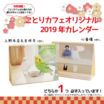 予約品 2018冬 数量限定 ことり福袋 オカメインコ ノーマル 5,000円 ◆第一次12月14日発送 (クリスマスバージョン) 福袋 ハッピーバッグ ハッピーパック 2019新春 2018クリスマス X'mas プレゼント ギフト 限定品 先行販売