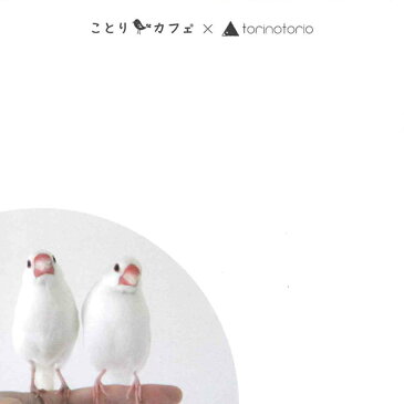 【torinotorio×ことりカフェ】torinotorio文鳥メモ帳　◆クリックポスト対応◆小鳥グッズ 小鳥雑貨 筆記用具 小鳥グッズ ステーショナリー 筆記 メモ帳 添え書き グリーティング ことりカフェ 写真 フォト