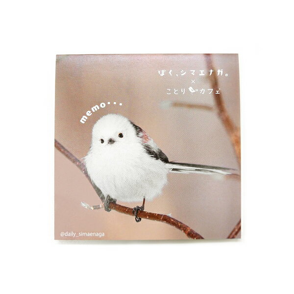 メモ帳A 正面 ◆ゆうパケット対応◆ シマエナガ ことり 小鳥 雑貨 グッズ 45枚入り 3絵柄 上質紙 スクエア 角型 かわいい おしゃれ 写真 フォト photo やなぎさわごう 伝言メモ お手紙 グリーティング コラボ【ぼく、シマエナガ。×ことりカフェ】のサムネイル