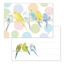 メモ帳 パステルカラーズ ◆ゆうパケット対応◆ セキセイインコ ことり 小鳥 雑貨 グッズ 80枚入り 上質紙 ヨコ 横長 角型 イラスト かわいい 水玉 ドット ライン 罫線 止まり木 めも メモ用紙 伝言メモ お手紙 グリーティング【クリエイティブモーション】