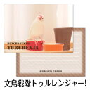 メモ帳 文鳥戦隊トゥルーレンジャー! ◆ゆうパケット対応◆ 白文鳥 ことり 小鳥 雑貨 グッズ 80枚入り 上質紙 ヨコ 横長 角型 イラスト かわいい ユニー...