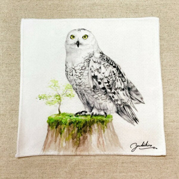 水彩画ハンドタオル フクロウ ◆ゆうパケット対応◆ 梟 ふくろう ことり 小鳥 雑貨 グッズ 25×25cm 角型 マイクロファイバー 吸水速乾 イラスト 鳥柄 おしゃれ リアルタッチ クール かっこいい 切り株 芽生え 草木 自然 バード アニマル 動物【クリエイティブモーション】