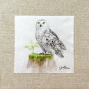 水彩画メガネ拭き フクロウ ◆ゆうパケット対応◆ 梟 ふくろう ことり 小鳥 雑貨 グッズ 15×15 マイクロファイバー 吸水速乾 イラスト 鳥柄 おしゃれ ...