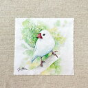 水彩画メガネ拭き 白文鳥 ◆ゆうパケット対応◆ ことり 小鳥 雑貨 グッズ 15×15 マイクロファイバー 吸水速乾 イラスト 鳥柄 おしゃれ クール かっこい...