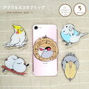 アクリルスマホグリップ ◆ゆうパケット対応◆ 小鳥グッズ 小鳥雑貨 スマホ 落下防止 スマホアクセサリー スタンド ポップアップ iphone アンドロイド ス...