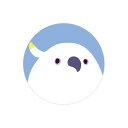 缶バッジ ★銀次郎 タイハクオウムハイブリッド ◆ゆうパケット対応◆ ことり 小鳥 雑貨 アクセサリー ピンバッジ バッジ ことりカフェ心斎橋 タイハクオウム ルリメタイハクオウム【なごみシリーズ】