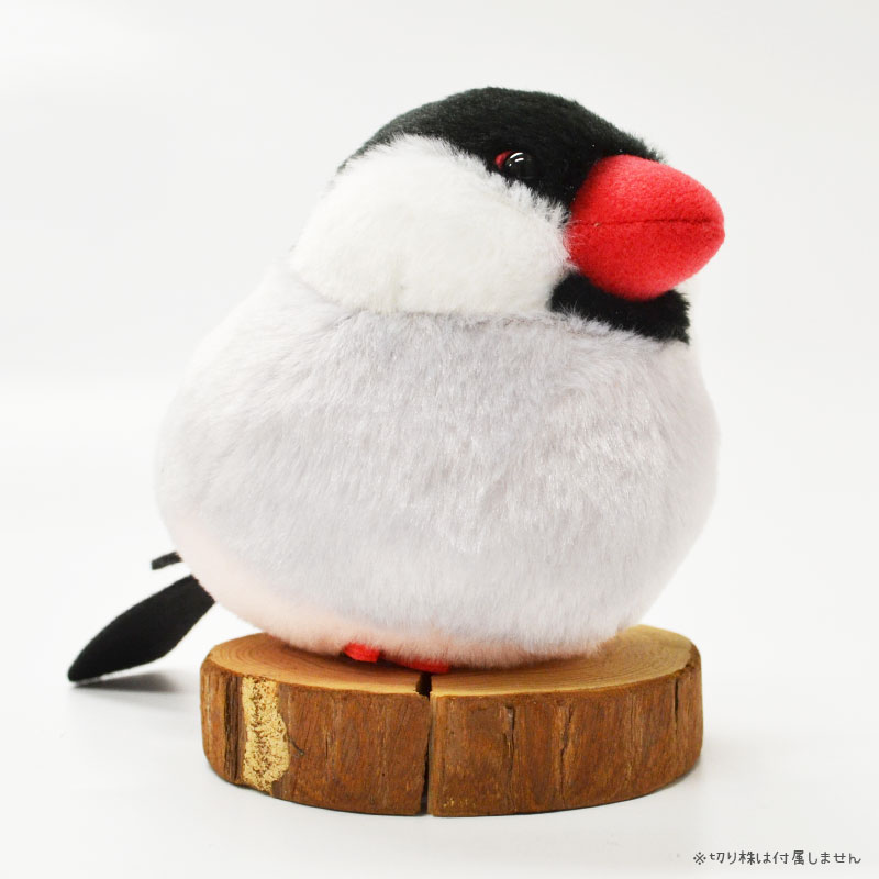 桜文鳥 ぬいぐるみ 1羽 《単品販売》 ◆◆可愛い グッズ ことり 小鳥 雑貨 ぬいぐるみ おもちゃ インテリア ディスプレイ 文鳥 プレゼント 誕生日 もふもふ ぬい撮り アニマル 動物 人形 マスコット ギフト かわいい セキグチ 鳥 贈り物 ふわふわ 癒し【ことりすまいる】のサムネイル
