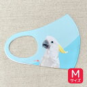マスク Mサイズ アオメキバタン ◆ゆうパケット対応◆ インコ ことり 小鳥 雑貨 グッズ 日本製 抗菌 防臭 吸汗速乾 UVカット プリント イラスト かわいい おしゃれ 鳥柄 和風 洗える 繰り返し使える レディース キッズ 女性 子ども クリエイティブモーション【とりアート】